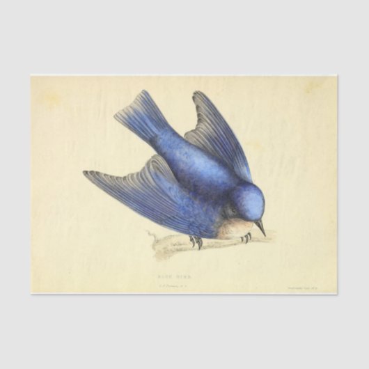 Blue Bird Ephemera Decoupage Tissuepapier (Voorkant)