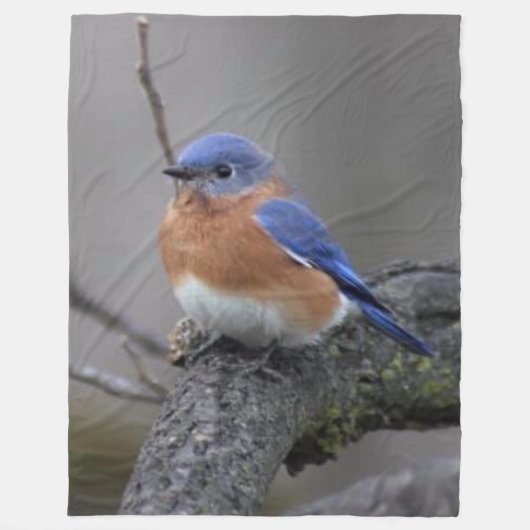 BLUE BIRD FLEECE DEKEN (Voorkant)