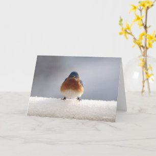 Blue Bird Folded Wenskaart Kaart