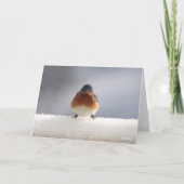Blue Bird Folded Wenskaart Kaart (Voorkant)