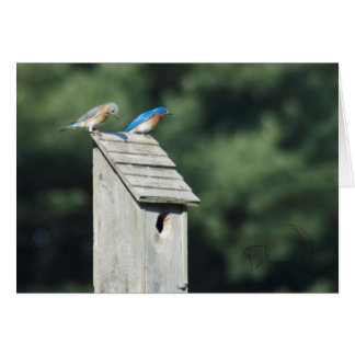 Blue Bird House, Kaart