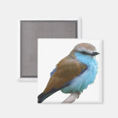 BLUE BIRD MAGNEET (Voorkant / Achterkant)