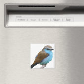 BLUE BIRD MAGNEET (Insitu (Vaatwasser))