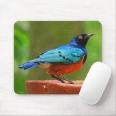 Blue Bird Mousepad Muismat (Met muis)