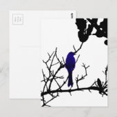 Blue bird on black tree briefkaart (Voorkant / Achterkant)