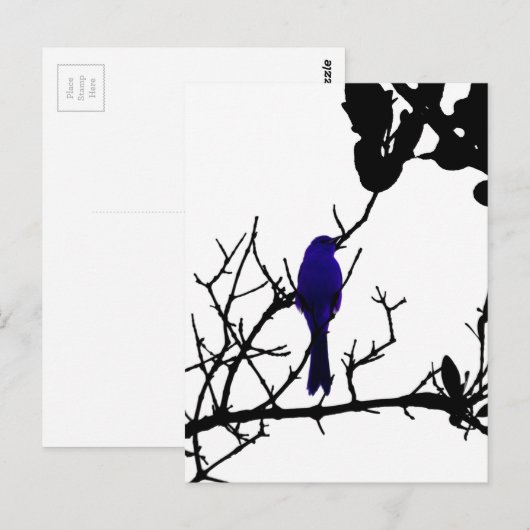 Blue bird on black tree briefkaart (Voorkant / Achterkant)