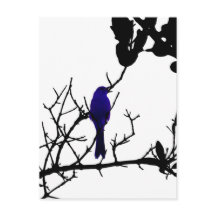Blue bird on black tree