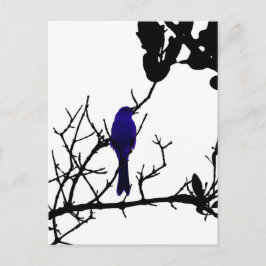 Blue bird on black tree briefkaart