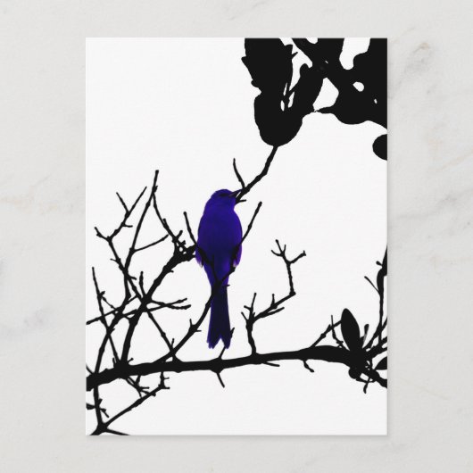 Blue bird on black tree briefkaart (Voorkant)