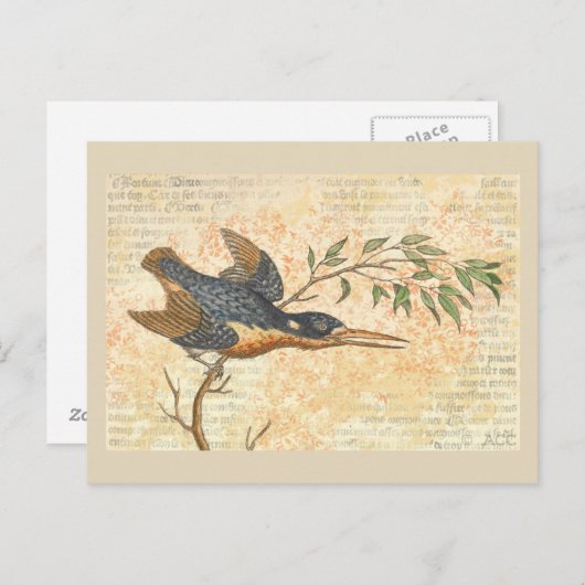 Blue Bird on Branch Briefkaart (Voorkant / Achterkant)