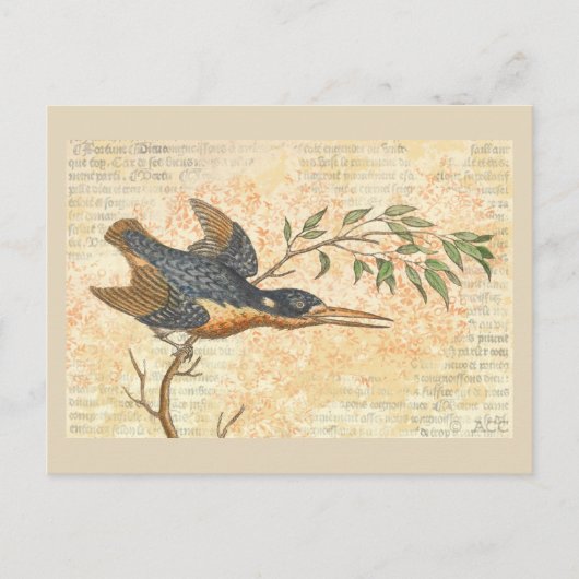 Blue Bird on Branch Briefkaart (Voorkant)