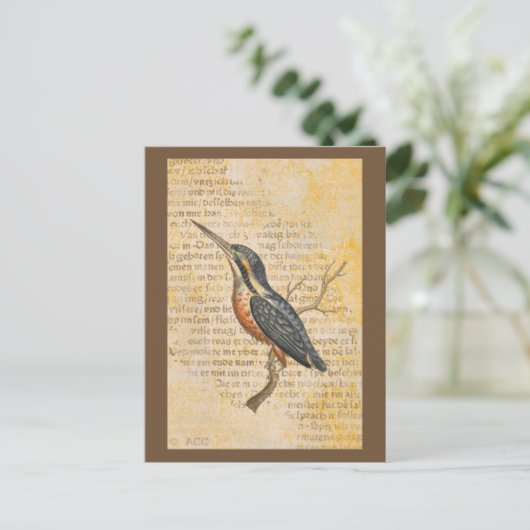 Blue Bird on Branch Briefkaart (Staand voorkant)