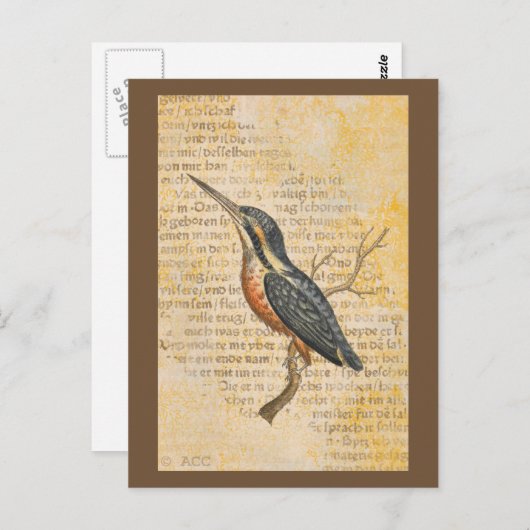 Blue Bird on Branch Briefkaart (Voorkant / Achterkant)