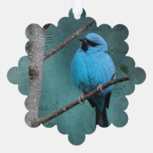 Blue Bird op tak gemengde media Ornament Kaart (Achterkant)