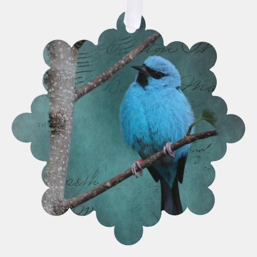 Blue Bird op tak gemengde media Ornament Kaart (Voorkant)