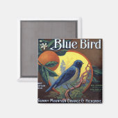 Blue Bird Sinaasappel kratlabel Magneet (Voorkant / Achterkant)
