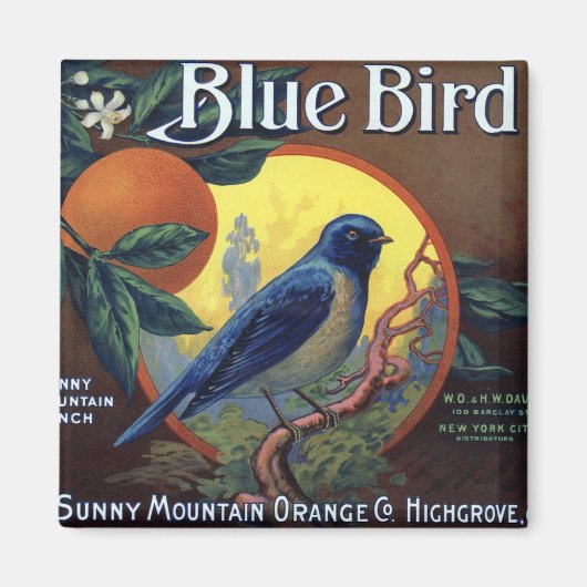Blue Bird Sinaasappel kratlabel Magneet (Voorkant)