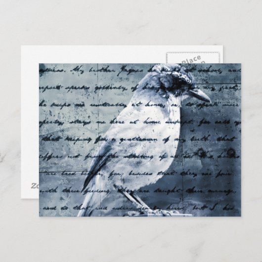 Blue Bird Song Briefkaart (Voorkant / Achterkant)