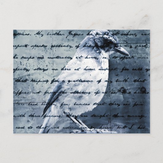 Blue Bird Song Briefkaart (Voorkant)