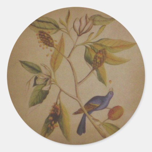 Blue Bird ~ Sticker Natuur Floral  (Voorkant)