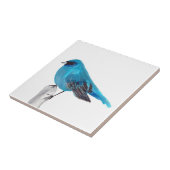 Blue Bird Wildlife Waterverf  Kleurrijk Tegeltje (Zijkant)