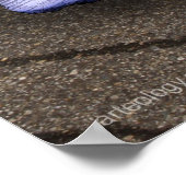 BLUE BIRTH POSTER (Hoek)