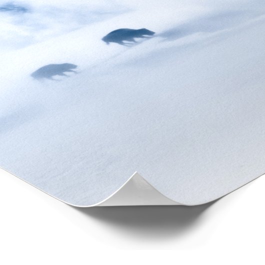 Blue Bison Poster (Hoek)