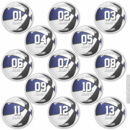 blue black team colors 13 basketball players names sticker