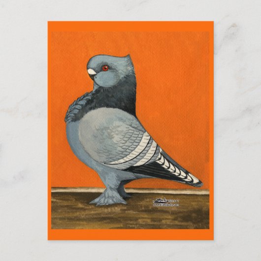 Blue Blondinette Pigeon Briefkaart (Voorkant)