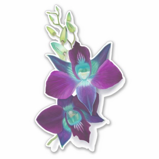 Blue Bom Dendrobium Orchid Flower Kiss-cut Sticker (Voorkant)