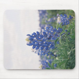 Blue Bonnet Muismat
