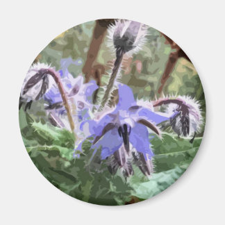 Blue Borage Star flower op een keukenmagneet Magneet
