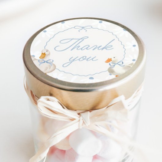 Blue Bow Gekke Goose Coquette Verjaardag Classic R Ronde Sticker