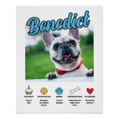 Blue Boy Gepersonaliseerd over zijn hond Perfect Poster (Voorkant)