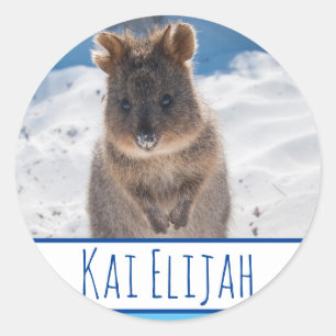 Blue Boys Gepersonaliseerde Quokka Beach Sticker