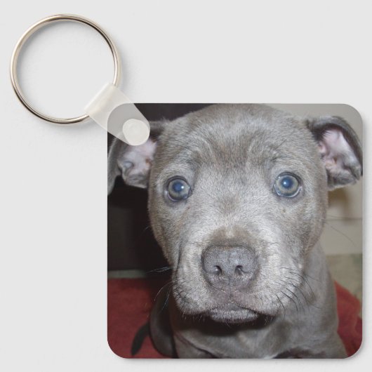 Blue Breed Staffordshire Bull Terrier Puppy, Sleutelhanger (Voorkant)