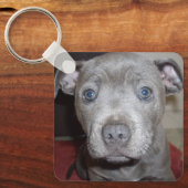 Blue Breed Staffordshire Bull Terrier Puppy, Sleutelhanger (Voorkant)