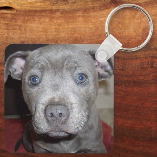 Blue Breed Staffordshire Bull Terrier Puppy, Sleutelhanger (Achterkant)