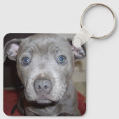 Blue Breed Staffordshire Bull Terrier Puppy, Sleutelhanger (Achterkant)