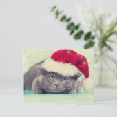 Blue British Cat Spint-fect Holiday Seizoen Feestdagenkaart (Staand voorkant)