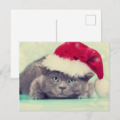 Blue British Cat Spint-fect Holiday Seizoen Feestdagenkaart (Voorkant / Achterkant)