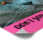 Blue British Shorthair Cat grappig en grappig Poster (Hoek)