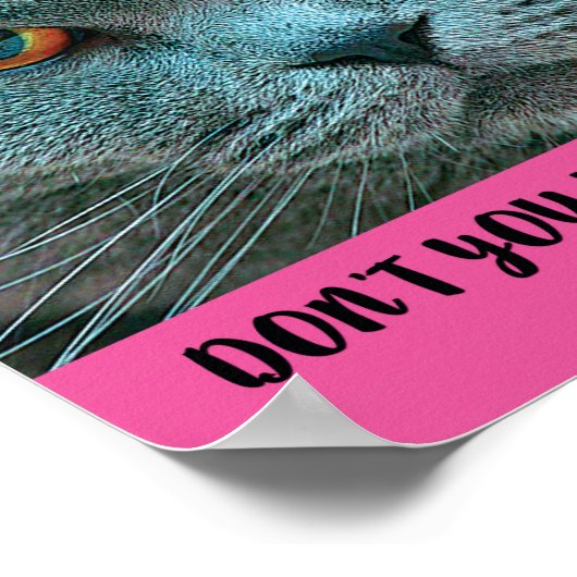 Blue British Shorthair Cat grappig en grappig Poster (Hoek)