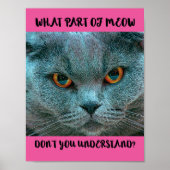 Blue British Shorthair Cat grappig en grappig Poster (Voorkant)