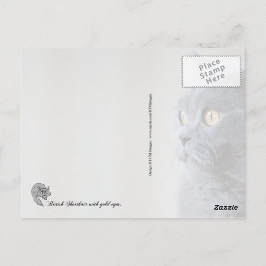 Blue British Shorthair met gouden ogen Briefkaart (Achterkant)