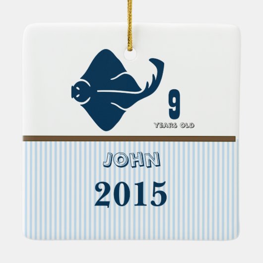 Blue & Brown Sting Ray Dot Stripes Foto Ornament (Achterkant)