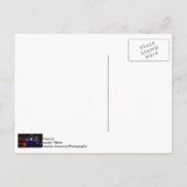 Blue Buckingham Fountain Briefkaart (Achterkant)