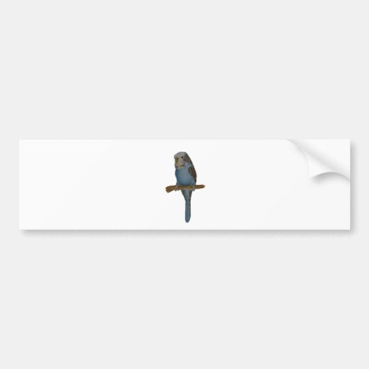 Blue Budgie Bumpersticker (Voorkant)