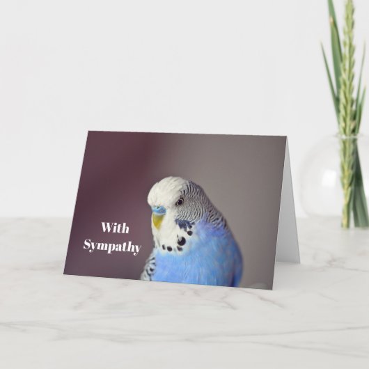  Blue Budgie Foto Sympathy Card Kaart (Voorkant)