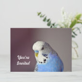  Blue Budgie foto verjaardagsuitnodiging Kaart (Staand voorkant)